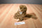 Ty Classic Rascal the Brown Monkey 1993 Beanbag Plush
