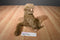 Ty Classic Rascal the Brown Monkey 1993 Beanbag Plush