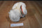 Gund White Maltese Dog Plush