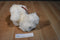 Gund White Maltese Dog Plush