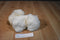 Gund White Maltese Dog Plush