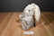 Unipak Brown and Beige Frosted Bunny Rabbit Beanbag Plush