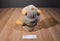 Disney World Animal Kingdom Safari Pooh Plush