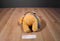 Disney World Animal Kingdom Safari Pooh Plush