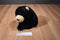 Ty Classic Forest Black Bear 2002 Beanbag Plush