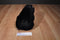 Ty Classic Forest Black Bear 2002 Beanbag Plush
