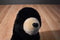 Ty Classic Forest Black Bear 2002 Beanbag Plush