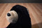 Ty Classic Forest Black Bear 2002 Beanbag Plush