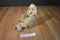 Boyd's Flowers R. Hope Daffodil Days Beige Teddy Bear 2005 Beanbag Plush