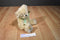Boyd's Flowers R. Hope Daffodil Days Beige Teddy Bear 2005 Beanbag Plush