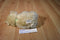 Boyd's Flowers R. Hope Daffodil Days Beige Teddy Bear 2005 Beanbag Plush