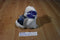 First & Main Polarimo White Polar Bear Beanbag Plush