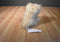 Ty Classic 2007 Bixie Yorkie/ Shi Tzu Puppy Dog Beanbag Plush