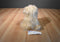 Ty Classic 2007 Bixie Yorkie/ Shi Tzu Puppy Dog Beanbag Plush