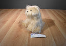 Ty Classic 2007 Bixie Yorkie/ Shi Tzu Puppy Dog Beanbag Plush