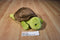 Kohl's Cares And Then It's Spring Turtle Tortoise Plush