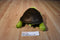 Kohl's Cares And Then It's Spring Turtle Tortoise Plush