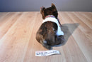 Ty Beanie Buddies Sport Brown and White Terrier Dog 2005 Beanbag Plush