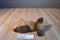 Ty Classic Chips the Brown and Tan Terrier Dog 1996 Beanbag Plush