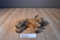 Ty Classic Chips the Brown and Tan Terrier Dog 1996 Beanbag Plush