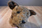 Ty Classic Chips the Brown and Tan Terrier Dog 1996 Beanbag Plush