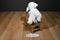 Baby Gund Prayer Lena White Lamb With Pink Blanket