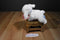 Baby Gund Prayer Lena White Lamb With Pink Blanket