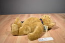 Boyd's Charles P. Chatsworth 1999 Puppet Plush