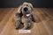 Ganz Heritage Wrinkles Hound Dog Puppet Plush