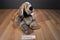 Ganz Heritage Wrinkles Hound Dog Puppet Plush