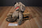 Ganz Heritage Wrinkles Hound Dog Puppet Plush