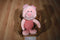 Disney Piglet Beanbag Plush