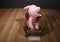 Disney Piglet Beanbag Plush