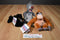 Disney Store Jungle Book Baloo, King Louie and Bagheera Beanbag Plush