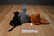 Disney Store Jungle Book Baloo, King Louie and Bagheera Beanbag Plush