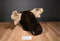 Lady Slipper Designs Moose Head Wall Hanging Plush