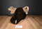 Lady Slipper Designs Moose Head Wall Hanging Plush