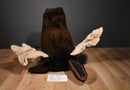 Lady Slipper Designs Moose Head Wall Hanging Plush