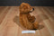 Kohl's Cares Mercer Mayer Little Critter Brown Teddy Bear Plush