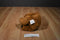 Kohl's Cares Mercer Mayer Little Critter Brown Teddy Bear Plush