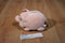 T.A.G. Blimp E Bank Pink Piggy Plush Bank with Blue Eyes