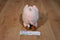 T.A.G. Blimp E Bank Pink Piggy Plush Bank with Blue Eyes