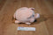 T.A.G. Blimp E Bank Pink Piggy Plush Bank with Blue Eyes