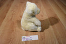 Plush Creations Polar Bear Plush and Softcover Book Swim Polar Bear, Swim