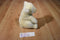 Plush Creations Polar Bear Plush and Softcover Book Swim Polar Bear, Swim