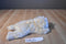 Ty Classic Jenkins the Tan and White Fluffy Dog 2001 Beanbag Plush