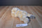 Ty Classic Jenkins the Tan and White Fluffy Dog 2001 Beanbag Plush