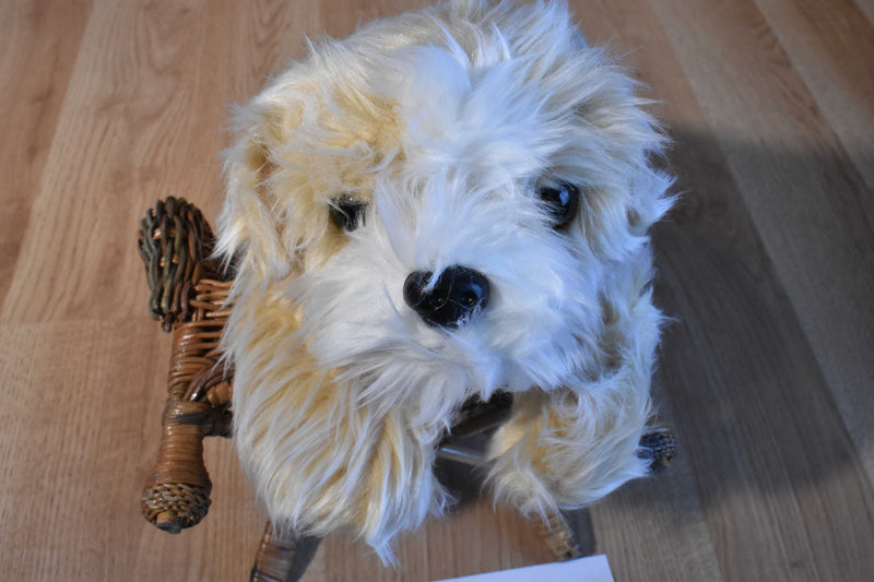 Ty Classic Jenkins the Tan and White Fluffy Dog 2001 Beanbag Plush