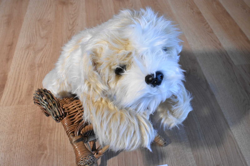 Ty Classic Jenkins the Tan and White Fluffy Dog 2001 Beanbag Plush