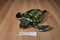 Fiesta Green Sea Turtle Plush